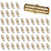 50-pack 3/4 inch brass coupling with protective sleeves; works with pex b stainless steel fittings clamps for sealing.